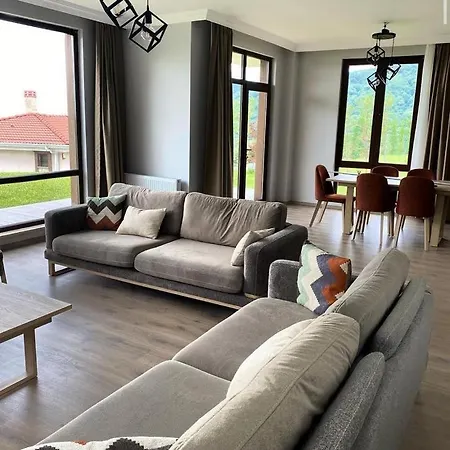 Villa Orchid_villa *